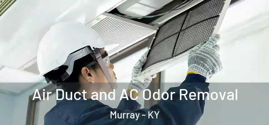  Air Duct and AC Odor Removal Murray - KY