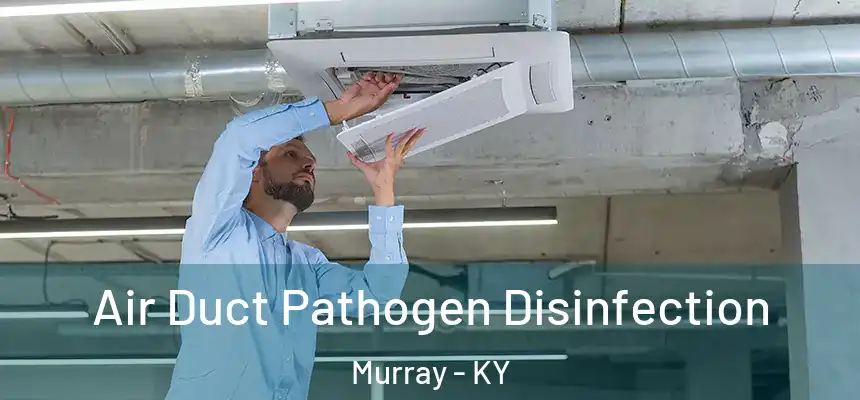  Air Duct Pathogen Disinfection Murray - KY