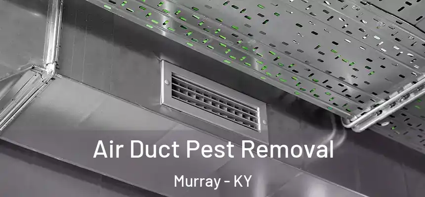  Air Duct Pest Removal Murray - KY