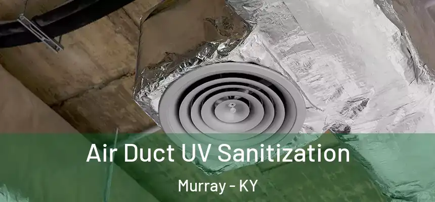  Air Duct UV Sanitization Murray - KY