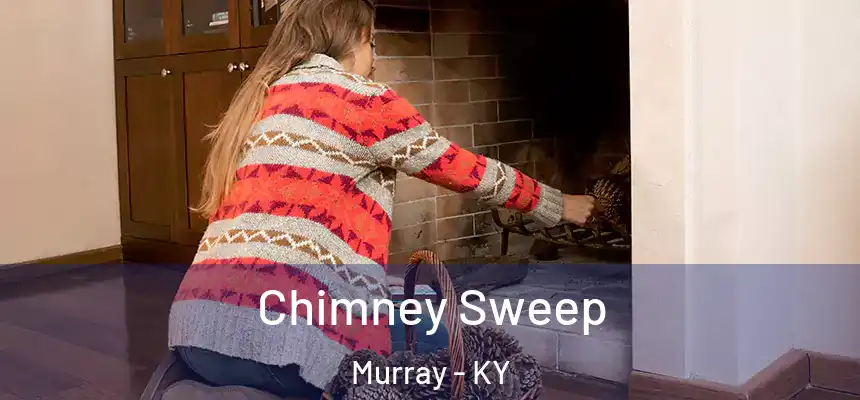  Chimney Sweep Murray - KY