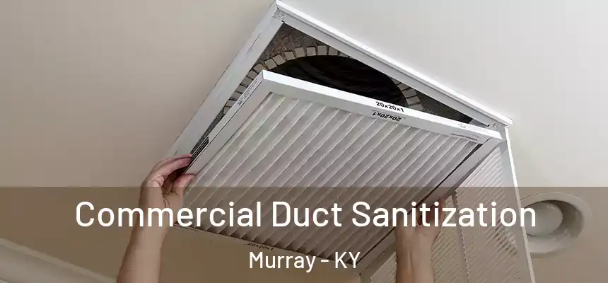  Commercial Duct Sanitization Murray - KY