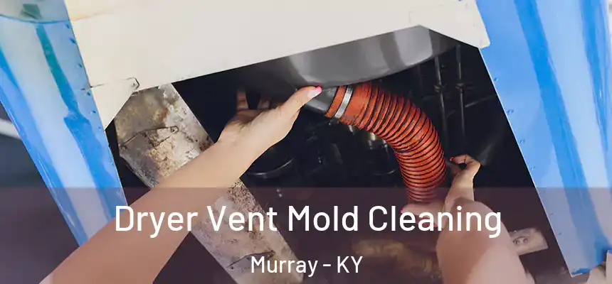  Dryer Vent Mold Cleaning Murray - KY