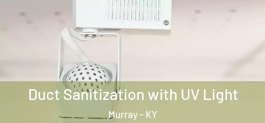  Duct Sanitization with UV Light Murray - KY