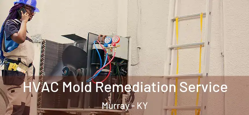  HVAC Mold Remediation Service Murray - KY