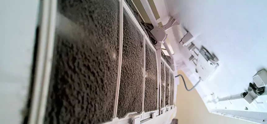 Preventive Air Duct Bacteria Removal in Murray