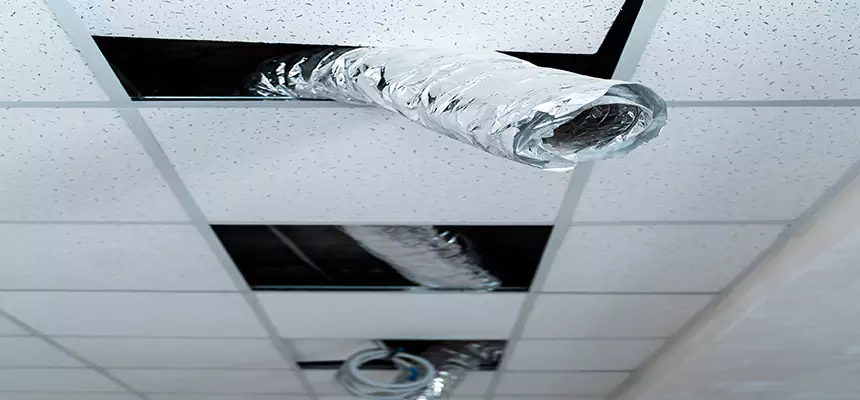 Affordable HVAC Sanitizing After Pest Removal in Murray