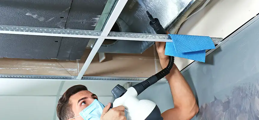 Our Air Duct Rodent Removal Services in Murray, KY