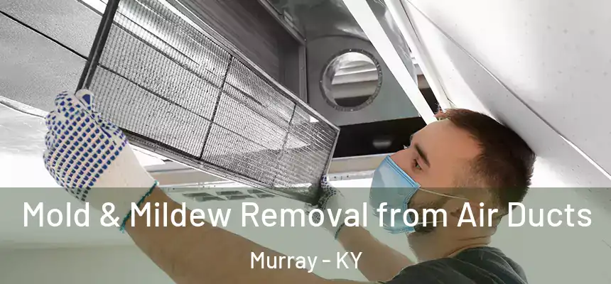  Mold & Mildew Removal from Air Ducts Murray - KY