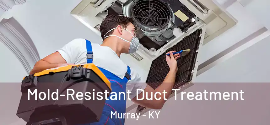  Mold-Resistant Duct Treatment Murray - KY
