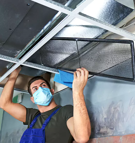 Professional Air Duct Pollen Cleaning in Murray, KY