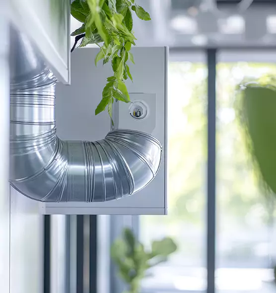 Professional Eco-Safe Dryer Vent Cleaning in Murray, KY