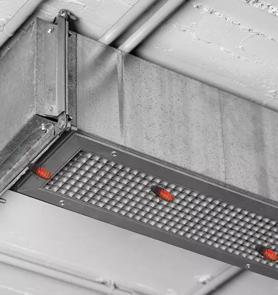 Affordable Insect Removal from Air Ducts in Murray, KY