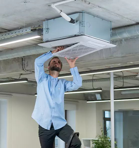 Advanced Rodent Droppings In Vents in Murray, KY