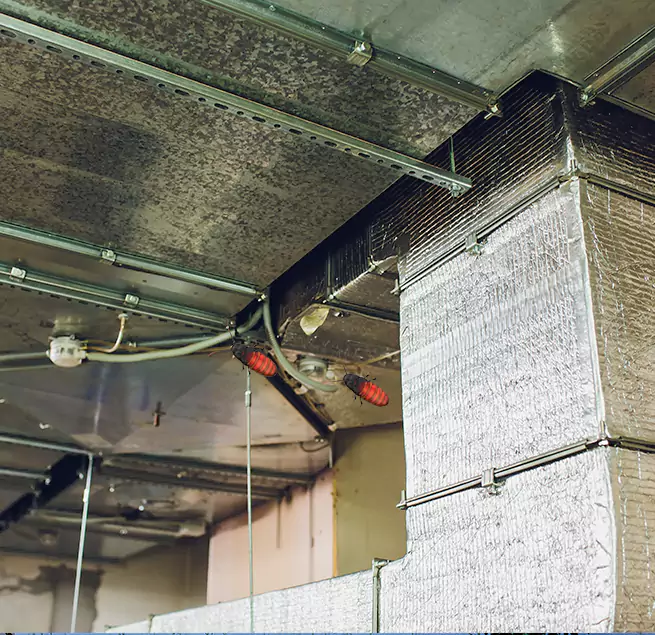 Why Homeowners & Businesses Trust Us in Murray, KY?