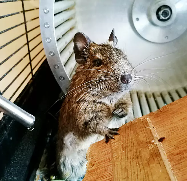 Why Homeowners & Businesses Trust Us Murray, KY