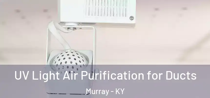  UV Light Air Purification for Ducts Murray - KY